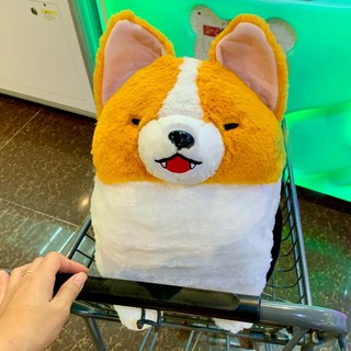 Chó Corgi bông nhe răng hàng Amu chuẩn sịn