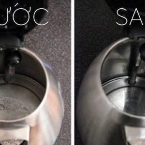 [Hàng Đức] Tẩy cặn Canxi ấm siêu tốc, máy pha cafe, Denkmit 250ml Tomlige