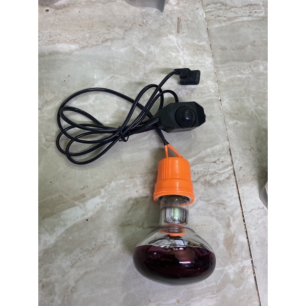 Bộ bóng hồng ngoại sưởi ấm chim vẹt , mèo , cún con ..