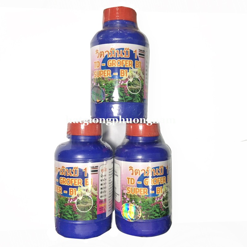 100 ML - PHÂN BÓN LÁ VITAMIN B1 THÁI XANH - TĂNG ĐỀ KHÁNH SINH TRƯỞNG CÂY