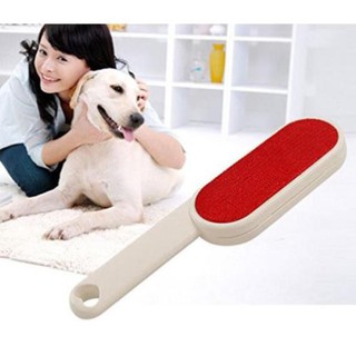 Cây lau bụi quần áo