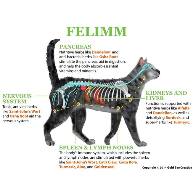 NHV FELIMM - Giải Pháp Hỗ Trợ FeLV / FIP / FIV ở Chó / Mèo 100ml Dietary Supplement