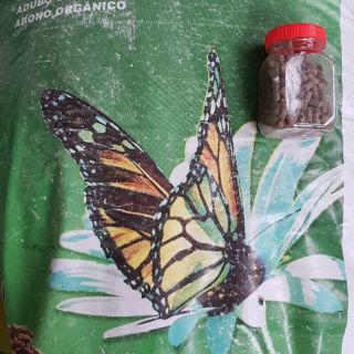 Phân bón hữu cơ bướm hà lan -Vĩnh Thạnh