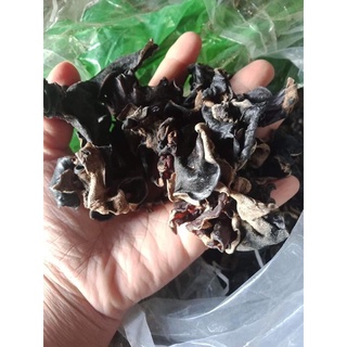 mộc nhĩ rừng