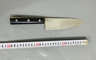 Dao bãi Nhật tuyển