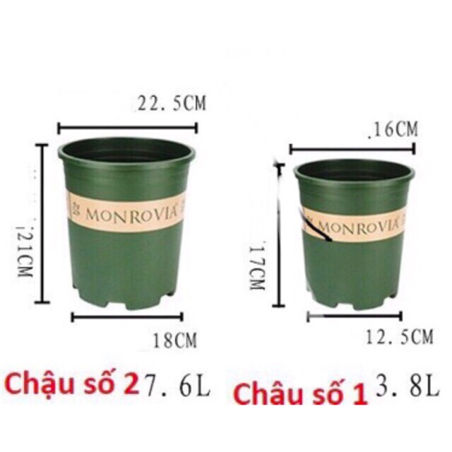 Combo Bộ Chậu MONROVIA hàng Nhập Khẩu TQ, Chậu gallon màu xanh + Kèm Đĩa Lót (3-size)