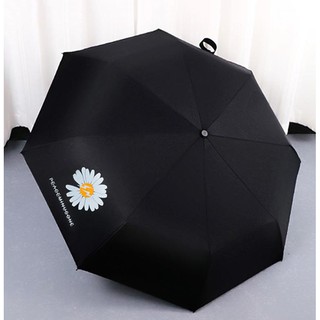 Dù xếp hoa cúc daisy Hàn Quốc đường kính 98 cm - Muasamhot1208