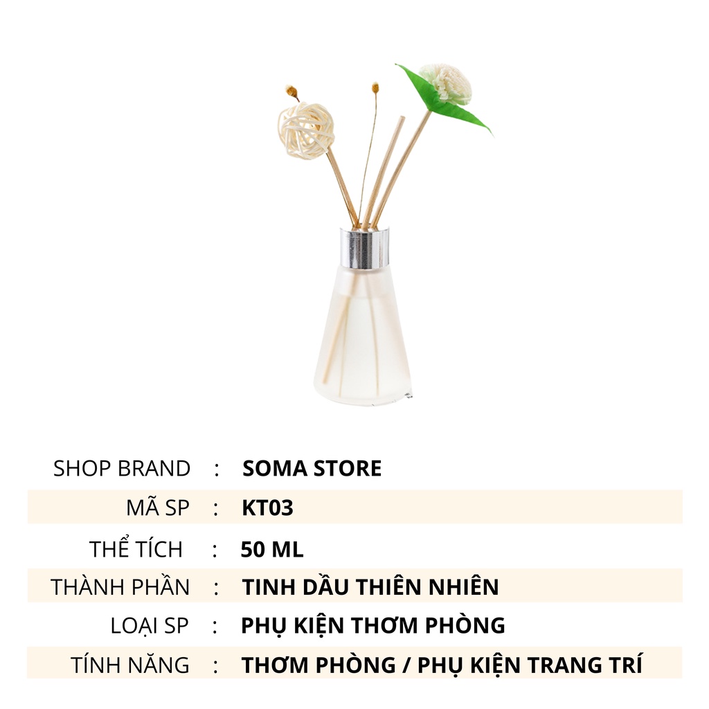 Lọ Khuếch Tán Tinh Dầu Thơm Phòng Tán hương Nước Hoa Thơm Để Phòng Thiên Nhiên Hoa Trang Trí KT03