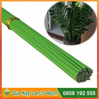 Que cắm lan cây cảnh hoa hồng 35-40cm dày 3.5ml