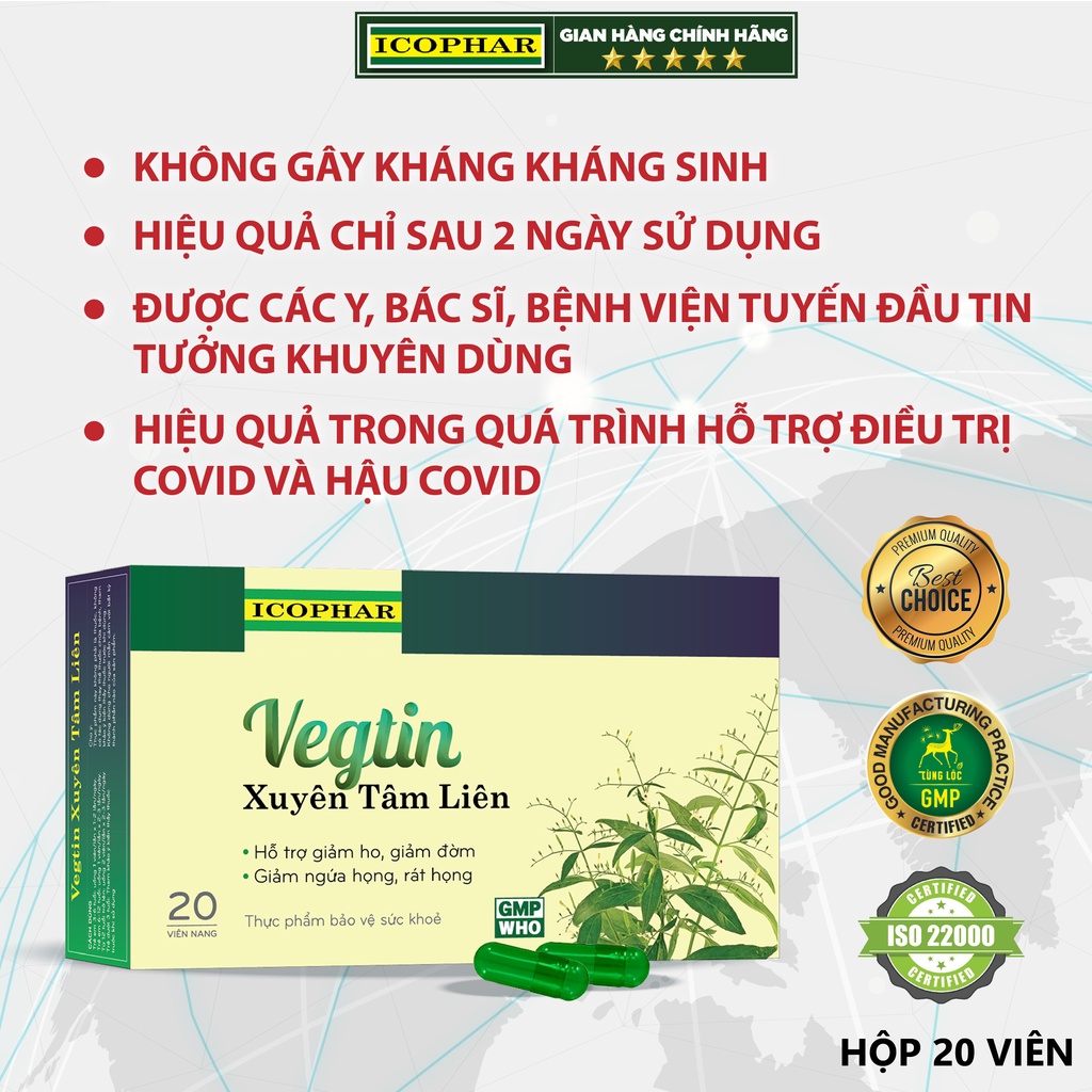 Viên uống giảm ho VEGTIN XUYÊN TÂM LIÊN - Hỗ trợ trị ho, giảm ho, tiêu đờm, đau họng, ngứa rát họng - Hiệu quả cao