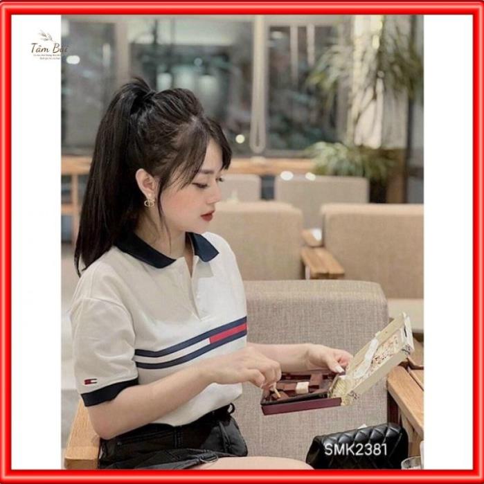 , Áo phông polo Tommy nữ, Áo thun polo Tommy nữ đẹp, chất siêu mát. *