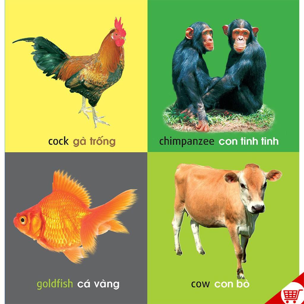 Sách - 101 Từ Đầu Tiên (Bộ 6 Cuốn, Lẻ Tùy Chọn) | BigBuy360 - bigbuy360.vn