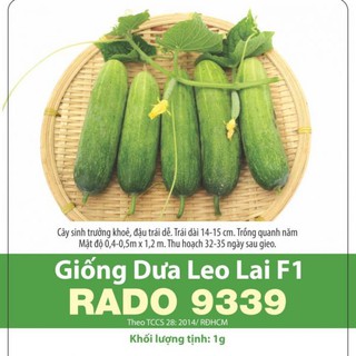 Hạt giống dưa leo f1 rado 9339