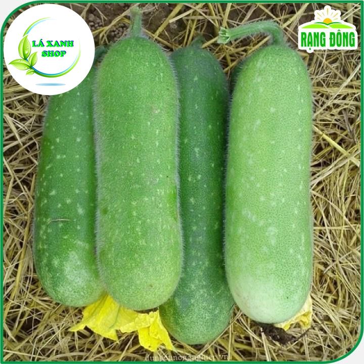 Hạt giống Bí Đao Chanh Lai F1 Siêu Trái, Sinh Trưởng Khỏe, Trồng Quanh Năm (gói 0,2 gram) - Hạt giống Rạng Đông