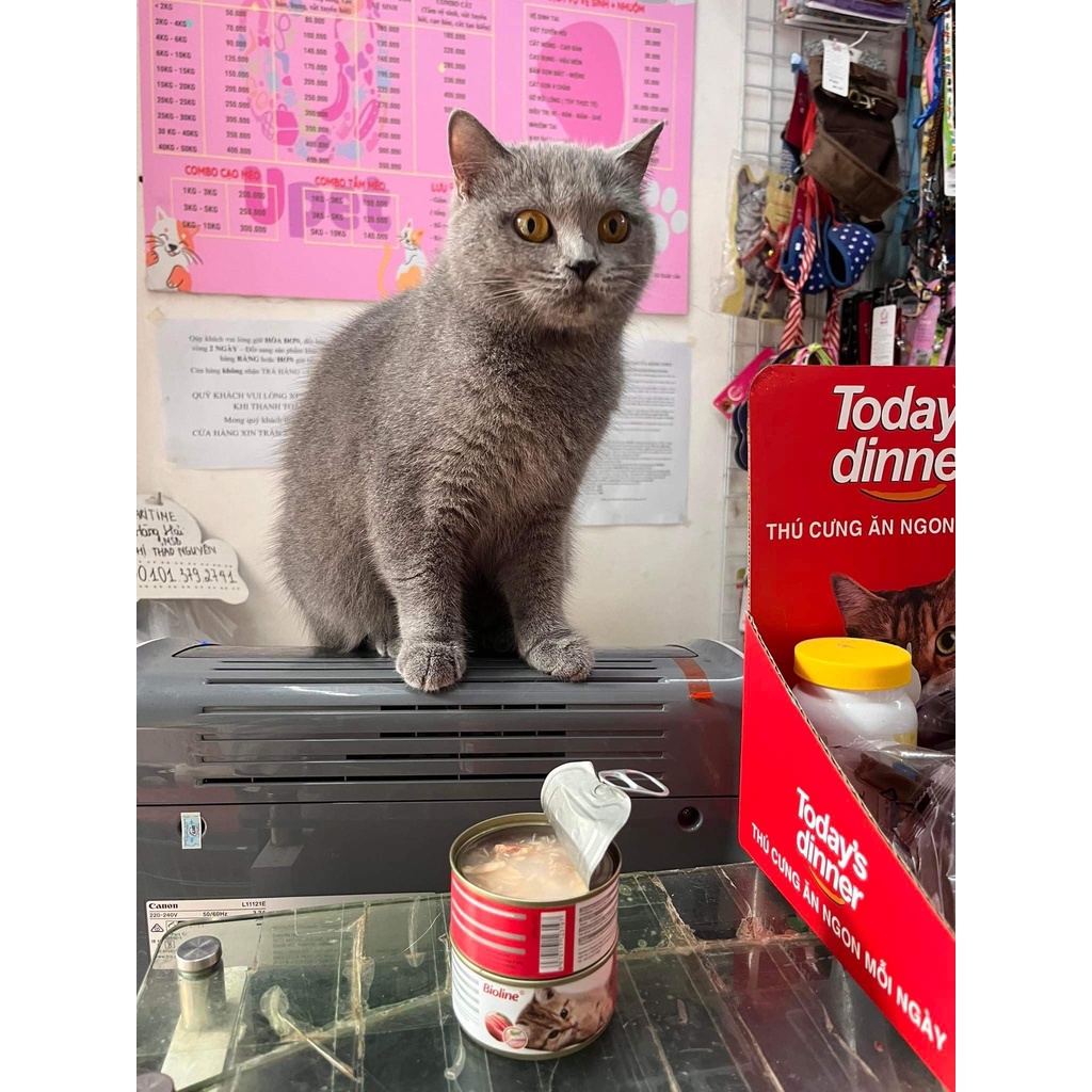 Pate/ Thức ăn dinh dưỡng Bioline 80g cho mèo nhiều vị thơm ngon dành cho mèo mọi lưa tuổi