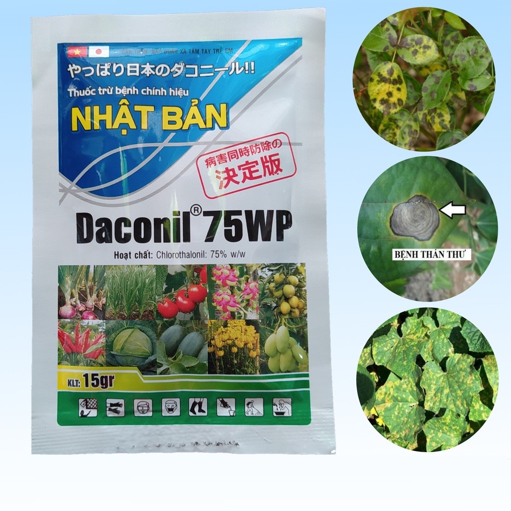 Thuốc Trừ Bệnh Nhật Bản DACONIL 75WP - Đặc Trị Thán Thư, Đốm Lá, Đổ Ngã Cây Con (gói 15g)