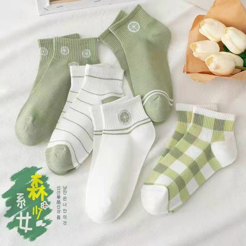Set 5 Đôi Tất Vớ Nữ Cotton Trơn Cổ Ngắn Ulzzang Freesize Phong Cách Vintage Hàn Quốc VO-04