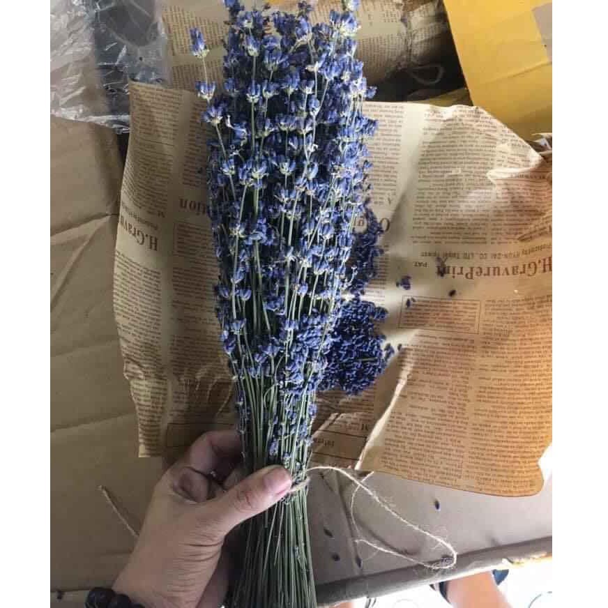 Bó hoa Oải Hương - Lavender khô 100g