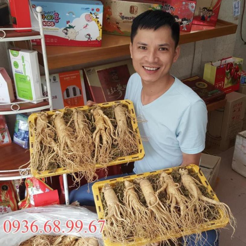 Nhân Sâm Tươi Hàn Quốc Chuẩn 6 Năm Tuổi Kiểm Tra Hàng Trước Khi Thanh Toán