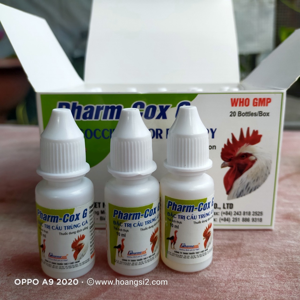 Sản phẩm hỗ trợ gia cầm, gia súc khi bị cầu trùng Pharm-Cox G chai 10ml