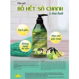 Dầu gội đầu Bồ kết sả chanh Kingphar