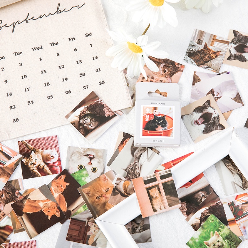 Set 46 Miếng Dán Hình Mèo Dễ Thương Dùng Trang Trí Album Ảnh/ Sổ Tay DIY