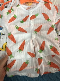 Bộ cotton giấy( mua 5 tặng 1)