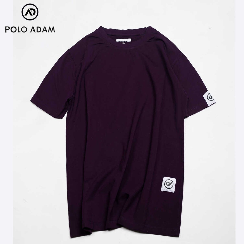 Áo phông đôi basic cotton lạnh cao cấp 4 màu POLO DAM-AP0001