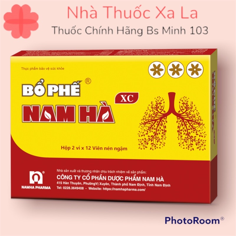 Viên Ngậm Ho Bổ Phế Nam Hà Tiêu Đờm Bổ Phổi Sát Trùng Họng (Hộp 2 Vỉ X 12 Viên)