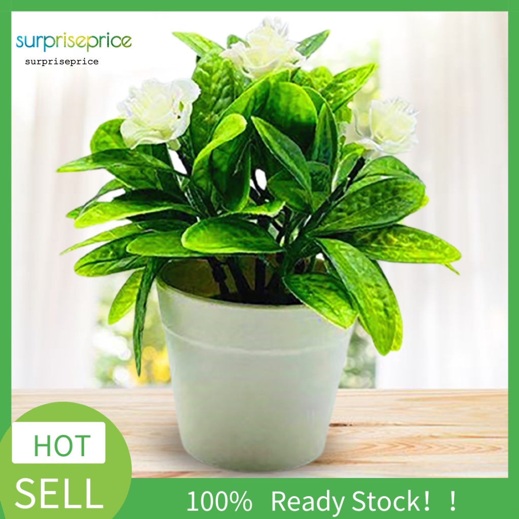 1 Bộ Chậu Hoa Hồng Giả Uốn Xoăn Không Phai Màu