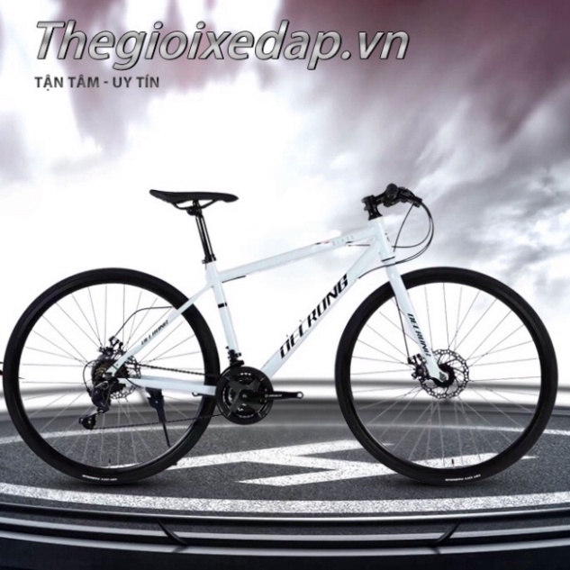 Xe đạp thể thao Touring DECRONG. Xe đạp TTL
