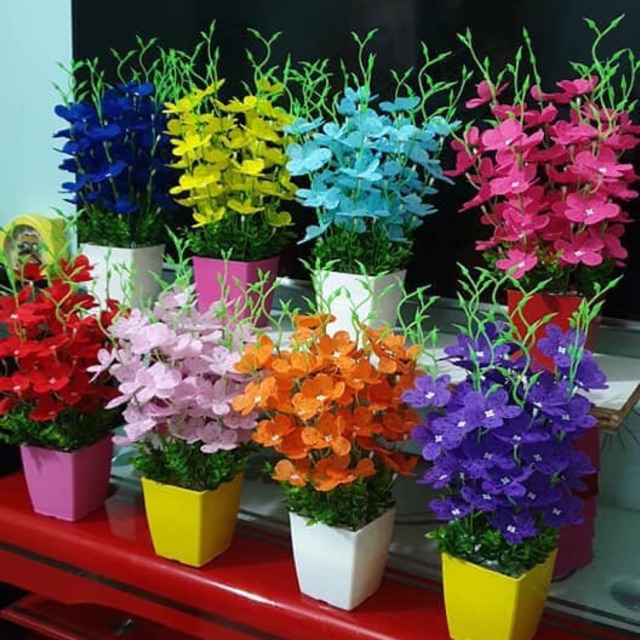 Nguyên liệu hoa thuỷ tiên