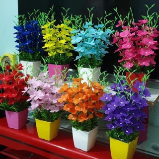 Nguyên liệu hoa thuỷ tiên