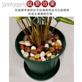 9.24✁Đá cuội tự nhiên trang trí bể cá