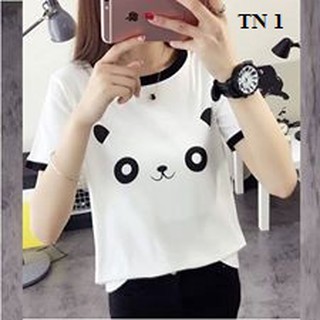 Áo thun tay lỡ Gấu trúc