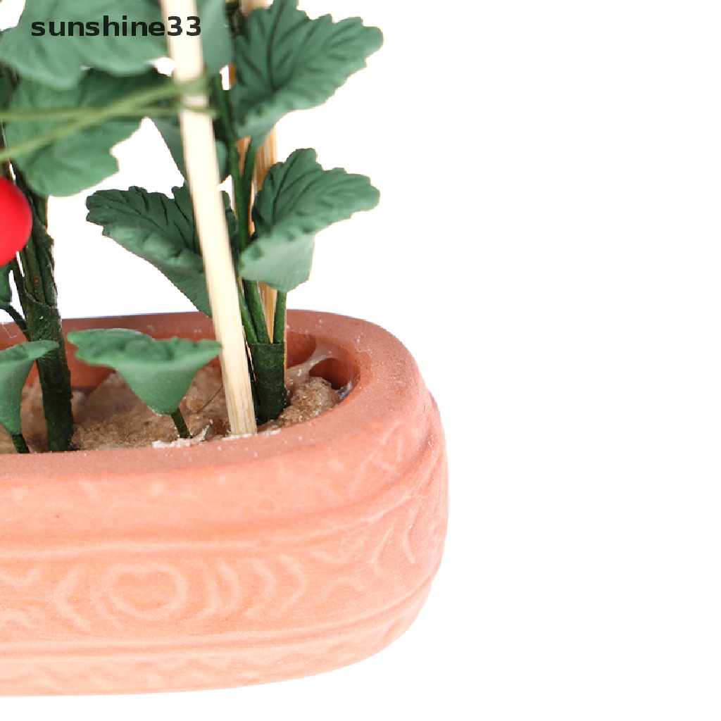 Mô Hình Chậu Cây Cà Chua Mini Tỉ Lệ 1: 12 Trang Trí Nhà Búp Bê