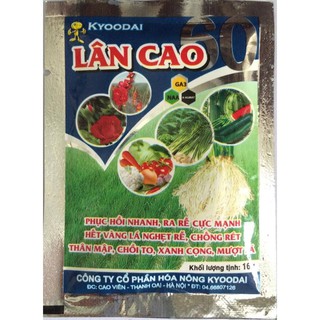--- Phân bón Siêu Lân Cao dùng cho hoa hồng (kích thích ra hoa đồng loạt) chất, giá rẻ.