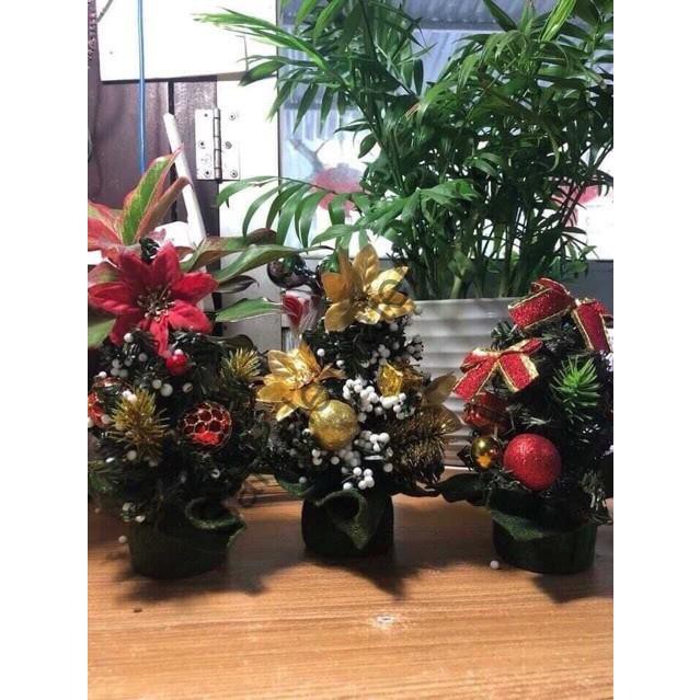 CÂY THÔNG NOEL MINI TRANG TRÍ CAO 20 CM