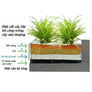 Vải Địa Kỹ Thuật Trồng Cây