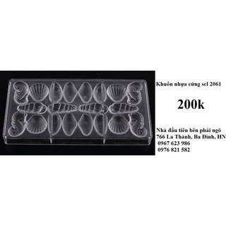 Khuôn nhựa socola vỏ sò 2061