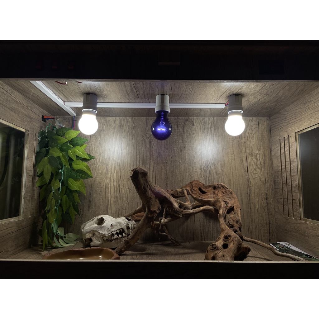 Đèn sưởi đêm nigh light 75w exoterra | Vietpetgarden