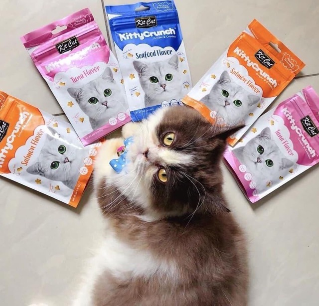 Kitty Crunch - snack bánh thưởng cho mèo, nhiều vị, thơm ngon của Kit Cat, thức ăn vặt cho mèo - Kitty Pet Shop