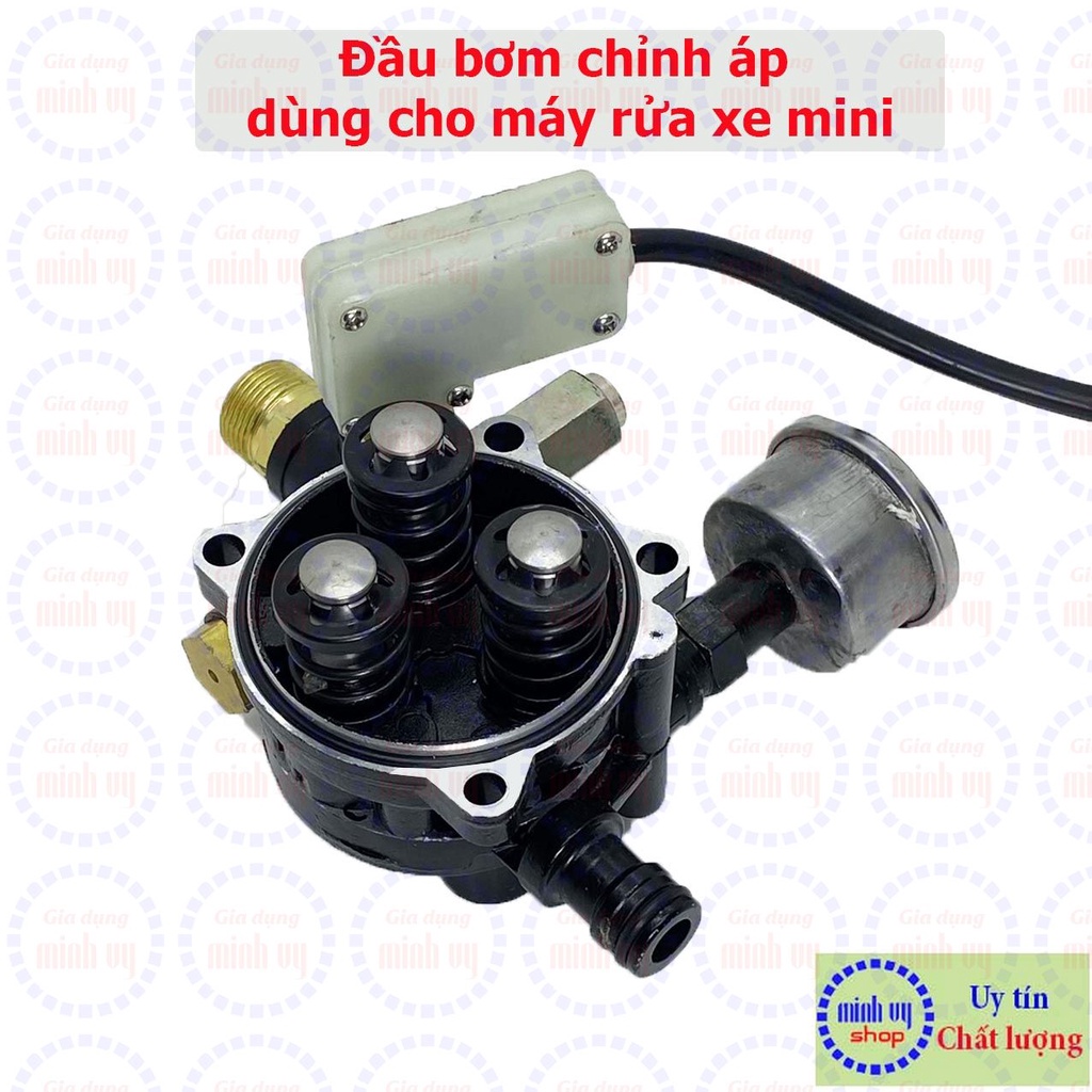 Đầu bơm chỉnh áp dùng cho máy rửa xe mini chỉnh áp Zukui S5. Forman 300