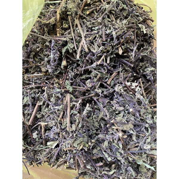HƯƠNG NHU TÍA KHÔ hàng loại 1, lá mới, thơm, sạch [1kg]