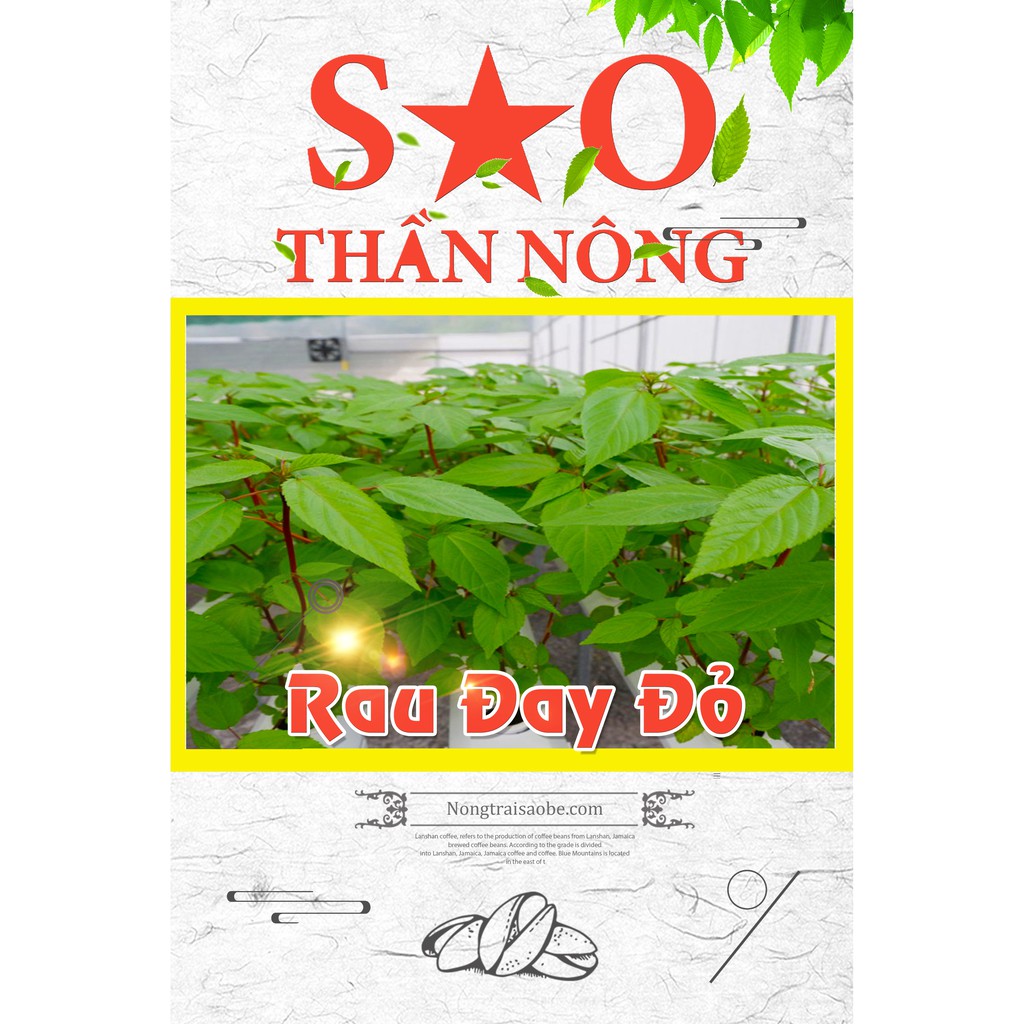 [Mã LT50 giảm 50k đơn 250k] Hạt Giống Rau Đay Đỏ Sao thần nông cao sản 15 g