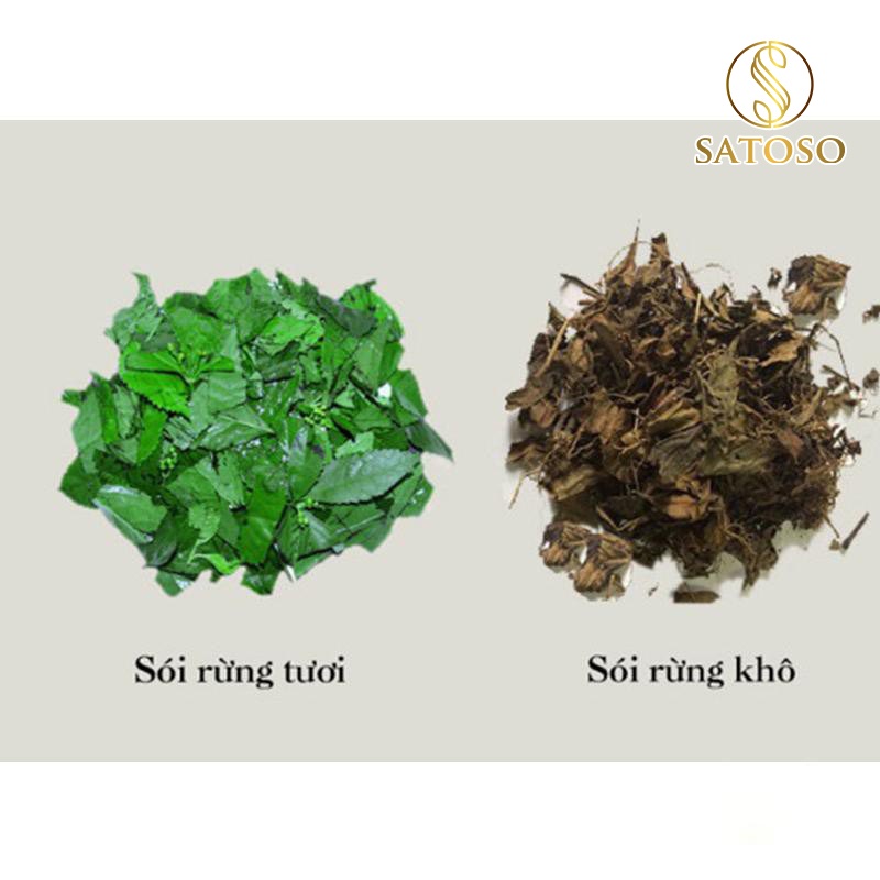 Cây sói rừng khô thượng hạng SATOSO 1kg giải nhiệt mát gan SA25