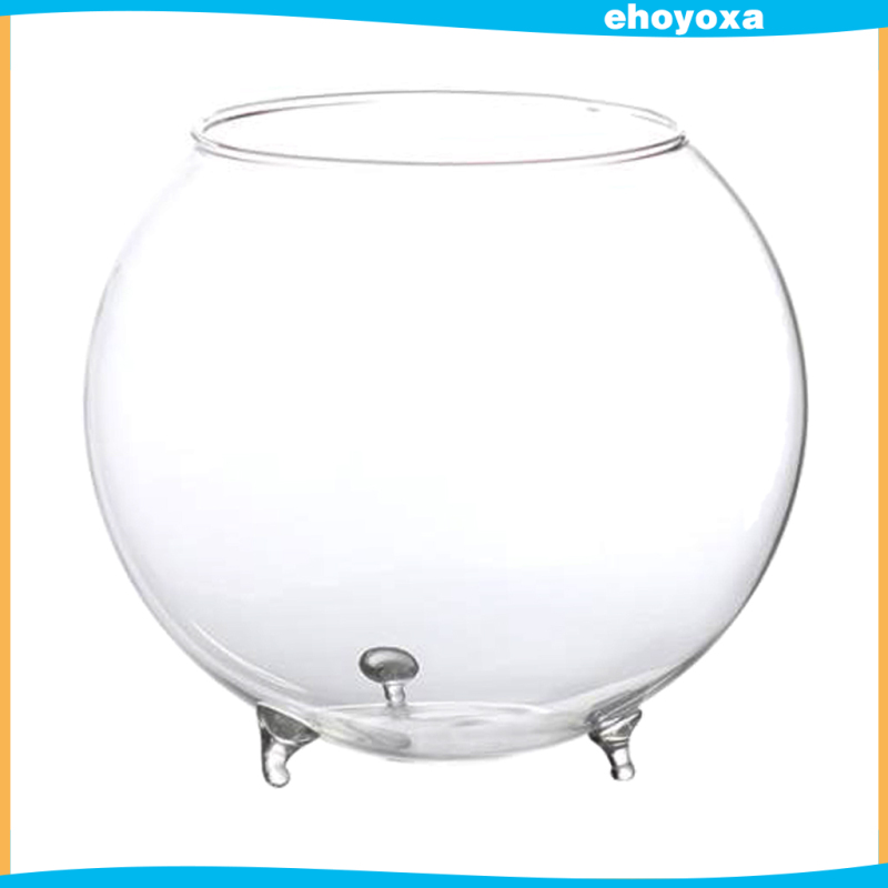 Clear Glass Flower Hydroponic Vase Micro DIY Landscape Terrarium Bottle Container Mini Fish Tank