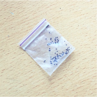 Hạt giống sâm đất/thổ nhân sâm tự thu hoạch