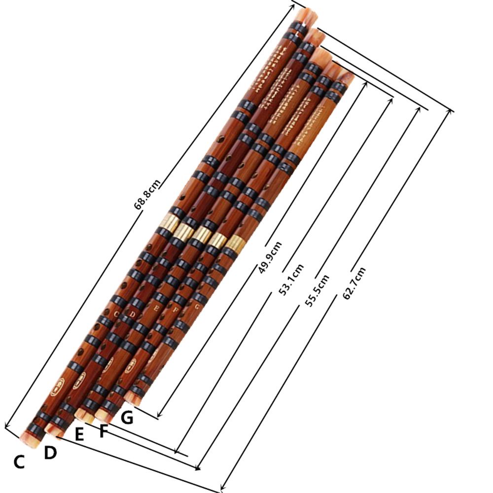 Sáo trúc Dizi C D E F phong cách Trung Hoa truyền thống cho người mới bắt đầu