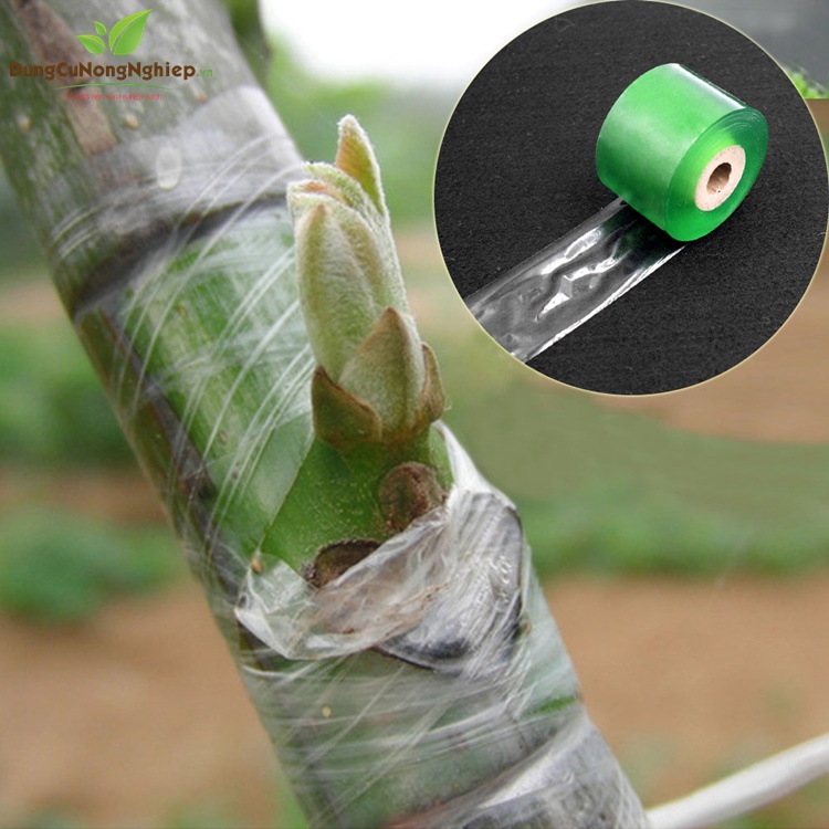 Băng keo/ băng dính ghép cây xanh tự dính tự hủy giúp bảo vệ mối ghép